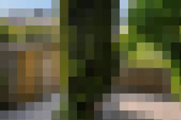 Tourmalijn 37 's-Gravenzande thumbnail 50