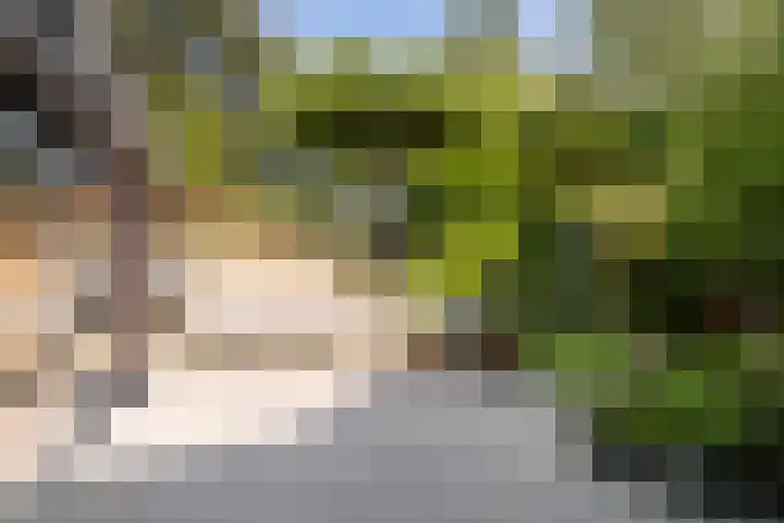 Tourmalijn 37 's-Gravenzande thumbnail 6