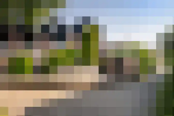 Tourmalijn 37 's-Gravenzande thumbnail 7