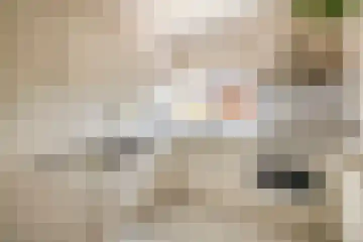 Tourmalijn 44 's-Gravenzande thumbnail 13
