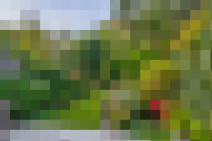 Tourmalijn 44 's-Gravenzande thumbnail 16