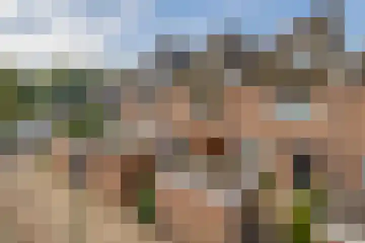 Tourmalijn 44 's-Gravenzande thumbnail 36