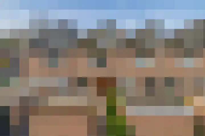 Tourmalijn 44 's-Gravenzande thumbnail 39