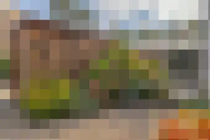 Tourmalijn 44 's-Gravenzande thumbnail 40