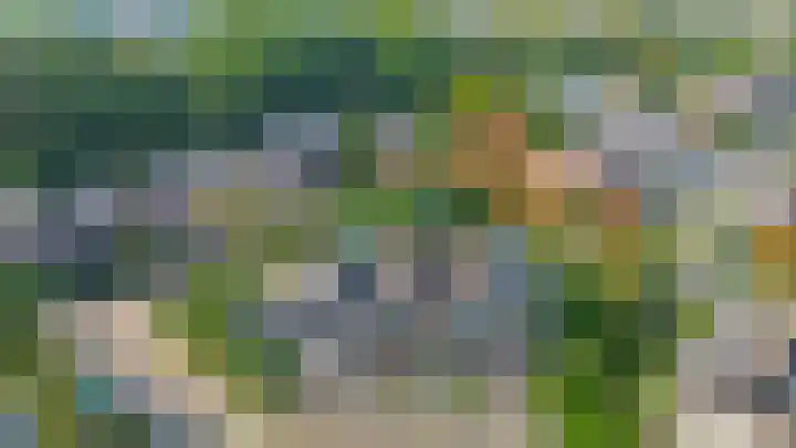 Tourmalijn 44 's-Gravenzande thumbnail 45
