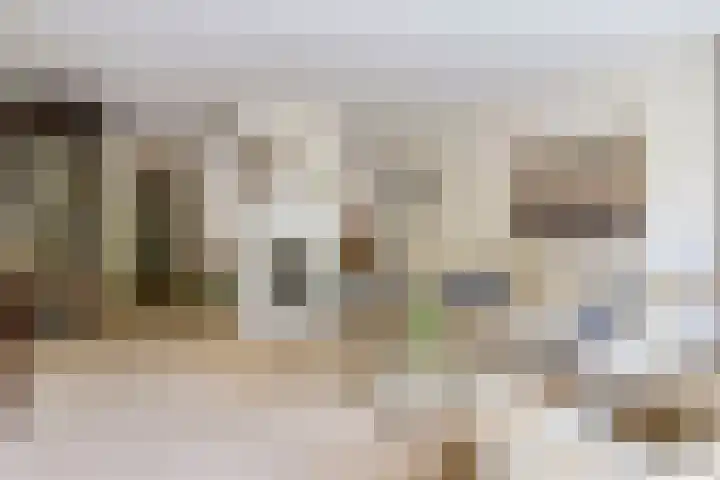 Tourmalijn 44 's-Gravenzande thumbnail 8