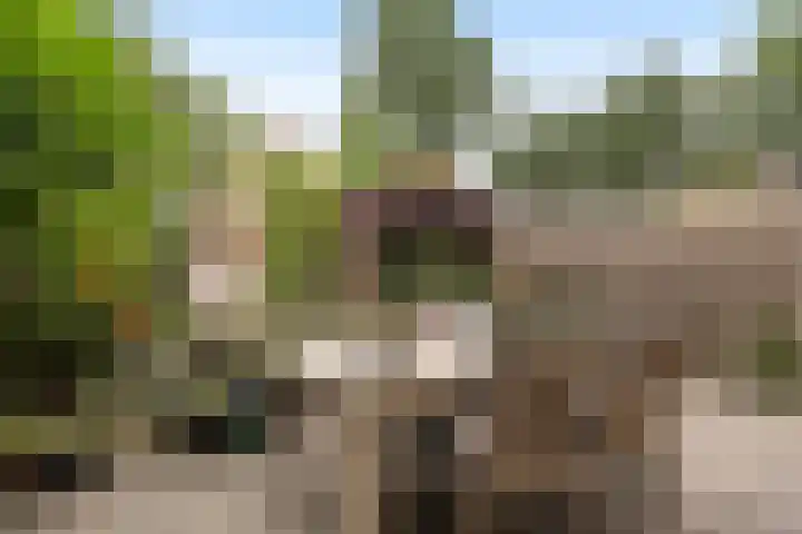Tourmalijnpad 2 IJsselstein thumbnail 21