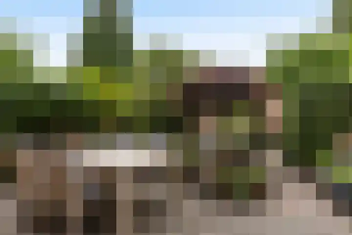 Tourmalijnpad 2 IJsselstein thumbnail 22