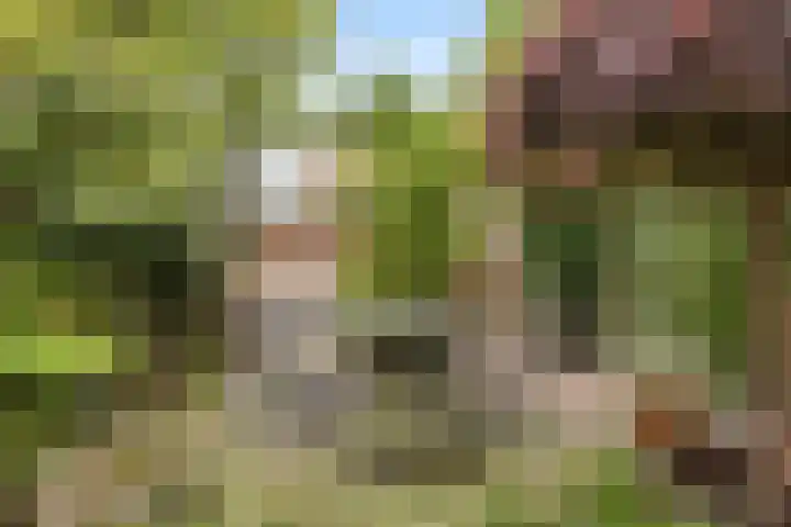 Tourmalijnpad 2 IJsselstein thumbnail 23