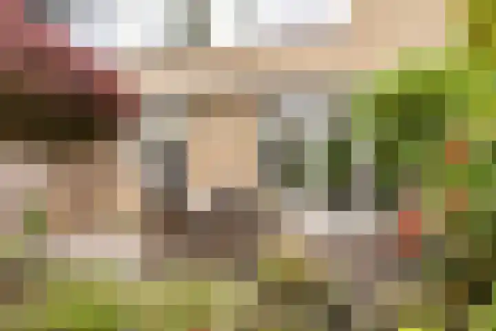 Tourmalijnpad 2 IJsselstein thumbnail 30