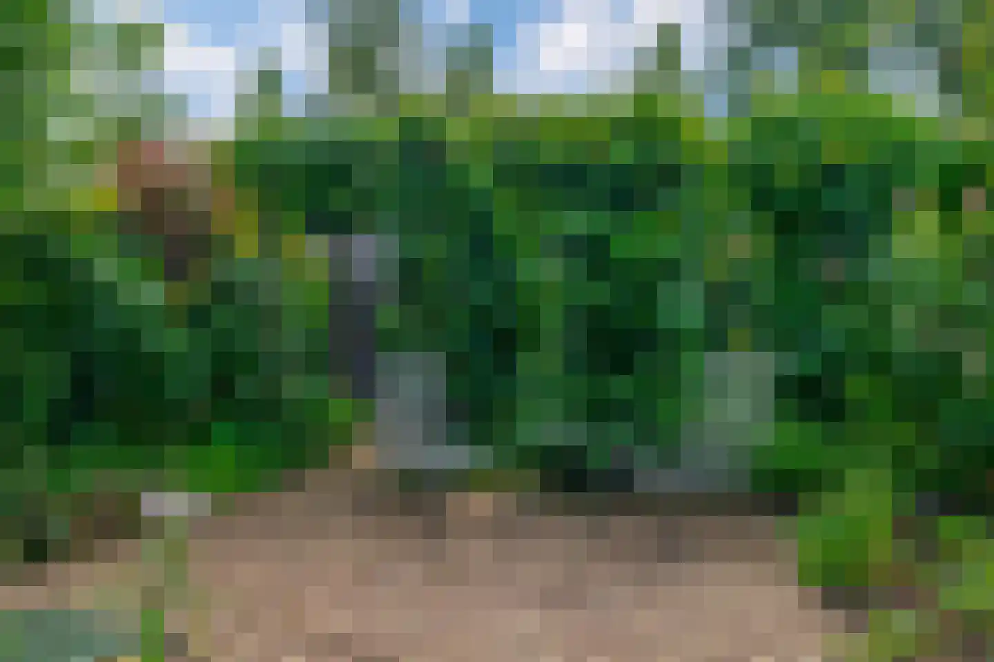 Tournooi 36 Krimpen aan den IJssel thumbnail 13