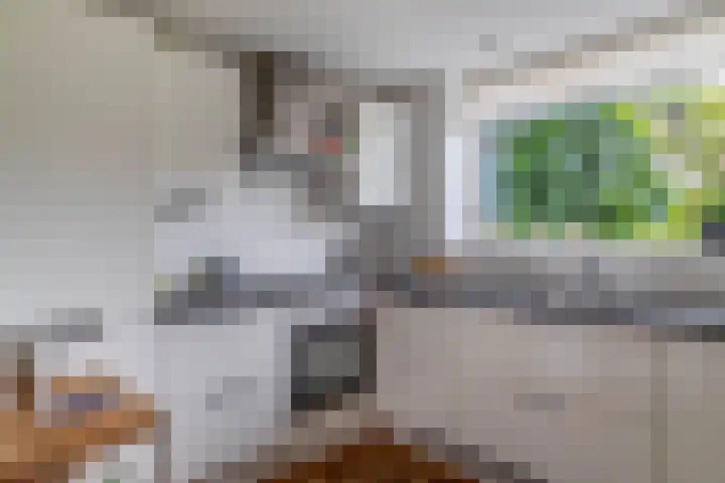 Tournooi 36 Krimpen aan den IJssel thumbnail 23
