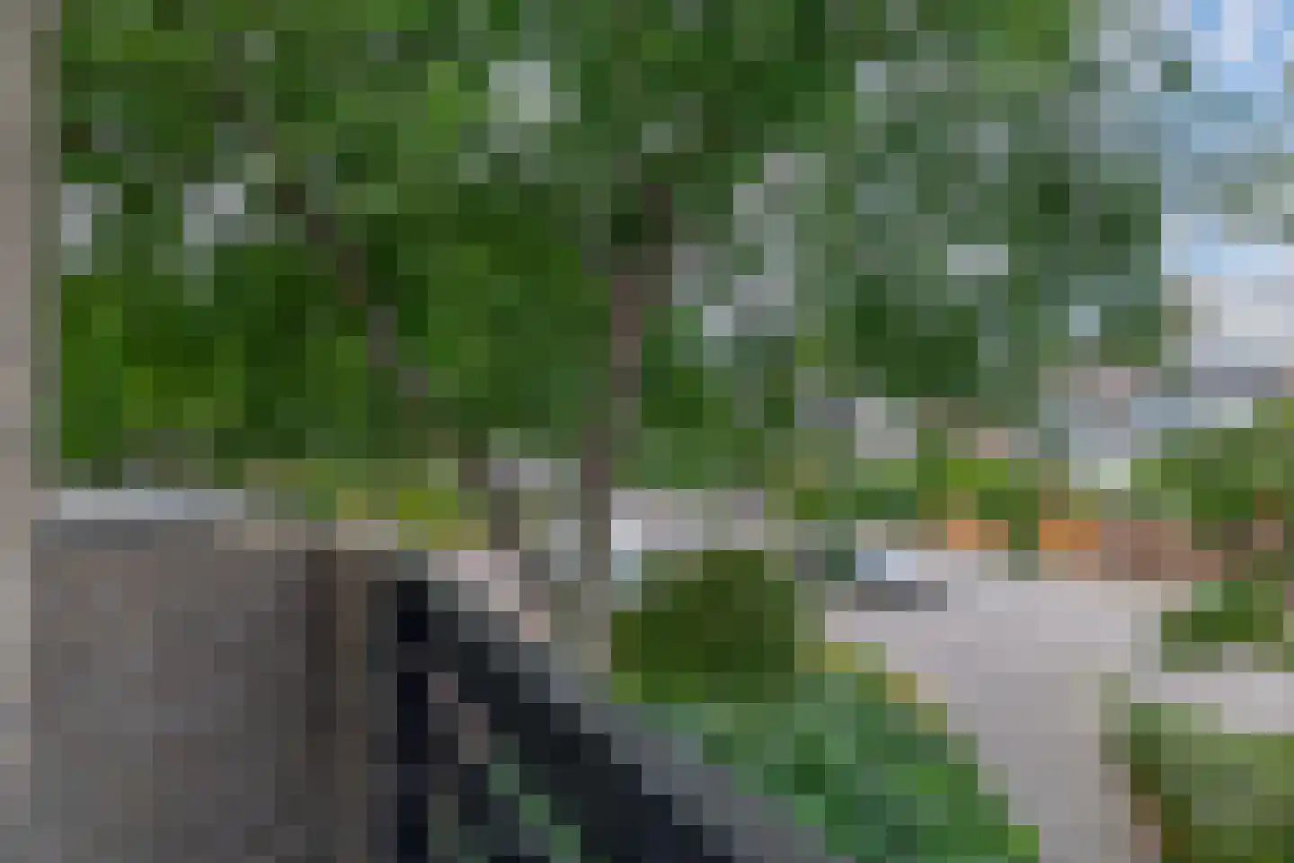 Tournooi 36 Krimpen aan den IJssel thumbnail 30