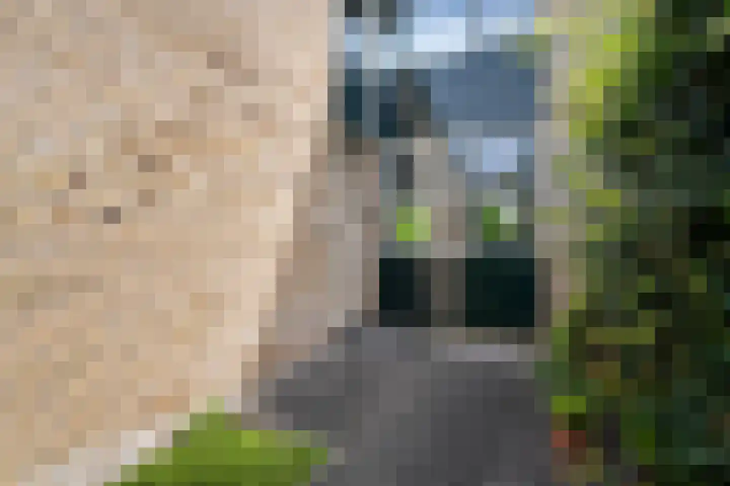 Tournooi 43 Krimpen aan den IJssel thumbnail 32