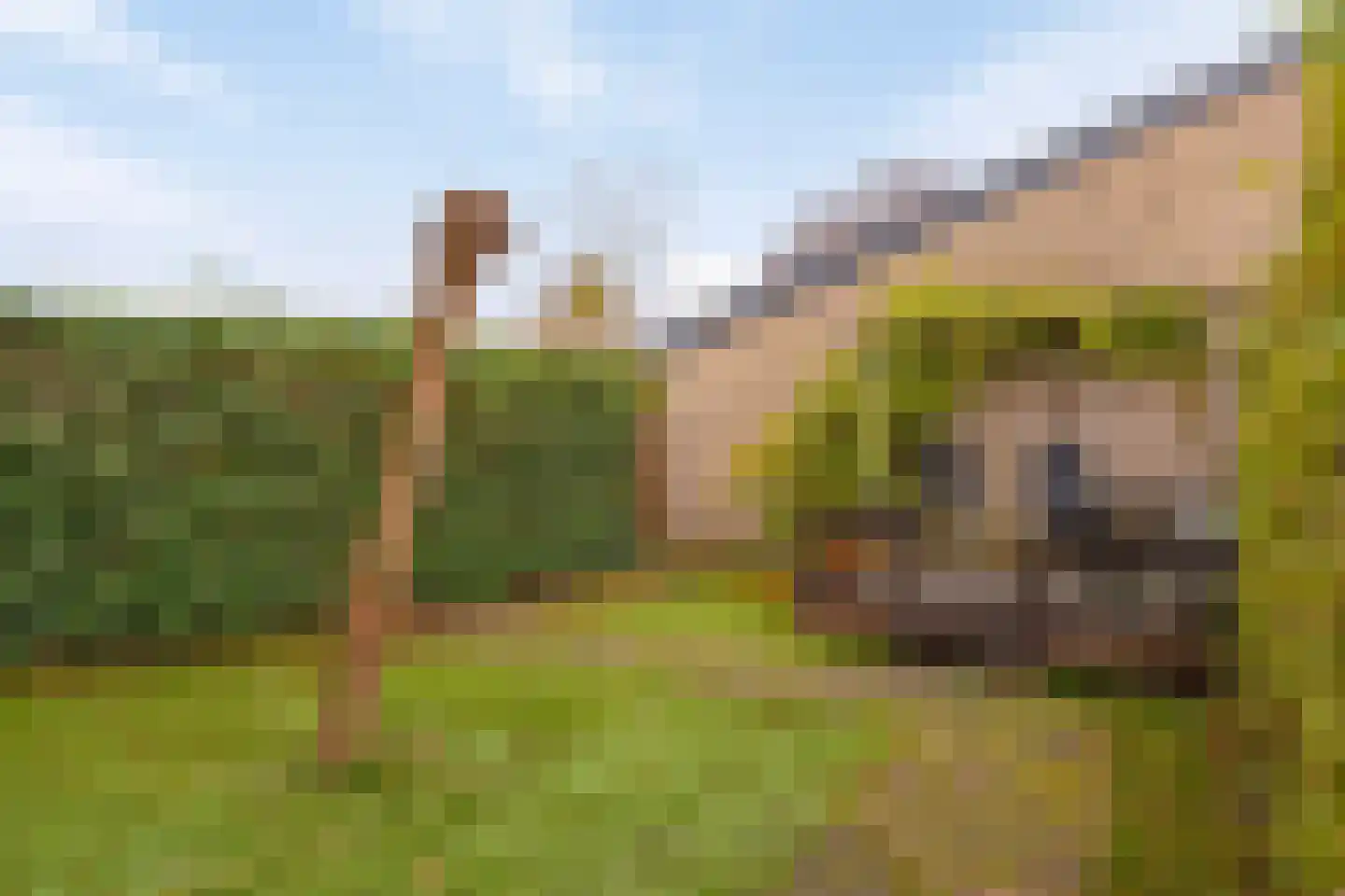 Tournooi 43 Krimpen aan den IJssel thumbnail 5