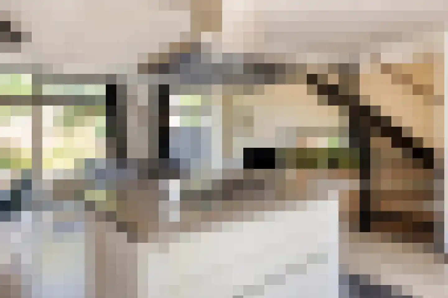 Tournooi 83 Krimpen aan den IJssel thumbnail 12