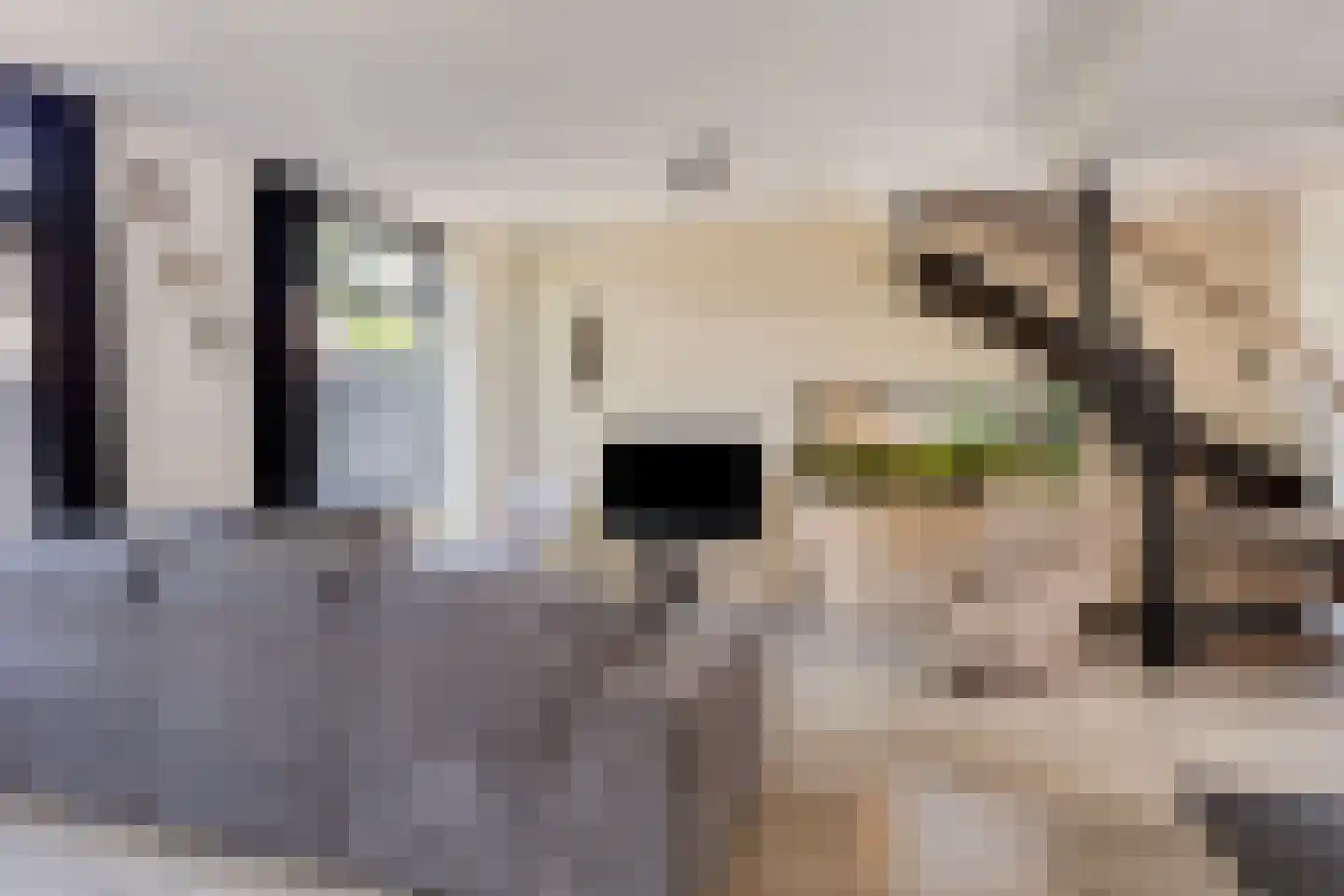 Tournooi 83 Krimpen aan den IJssel thumbnail 6