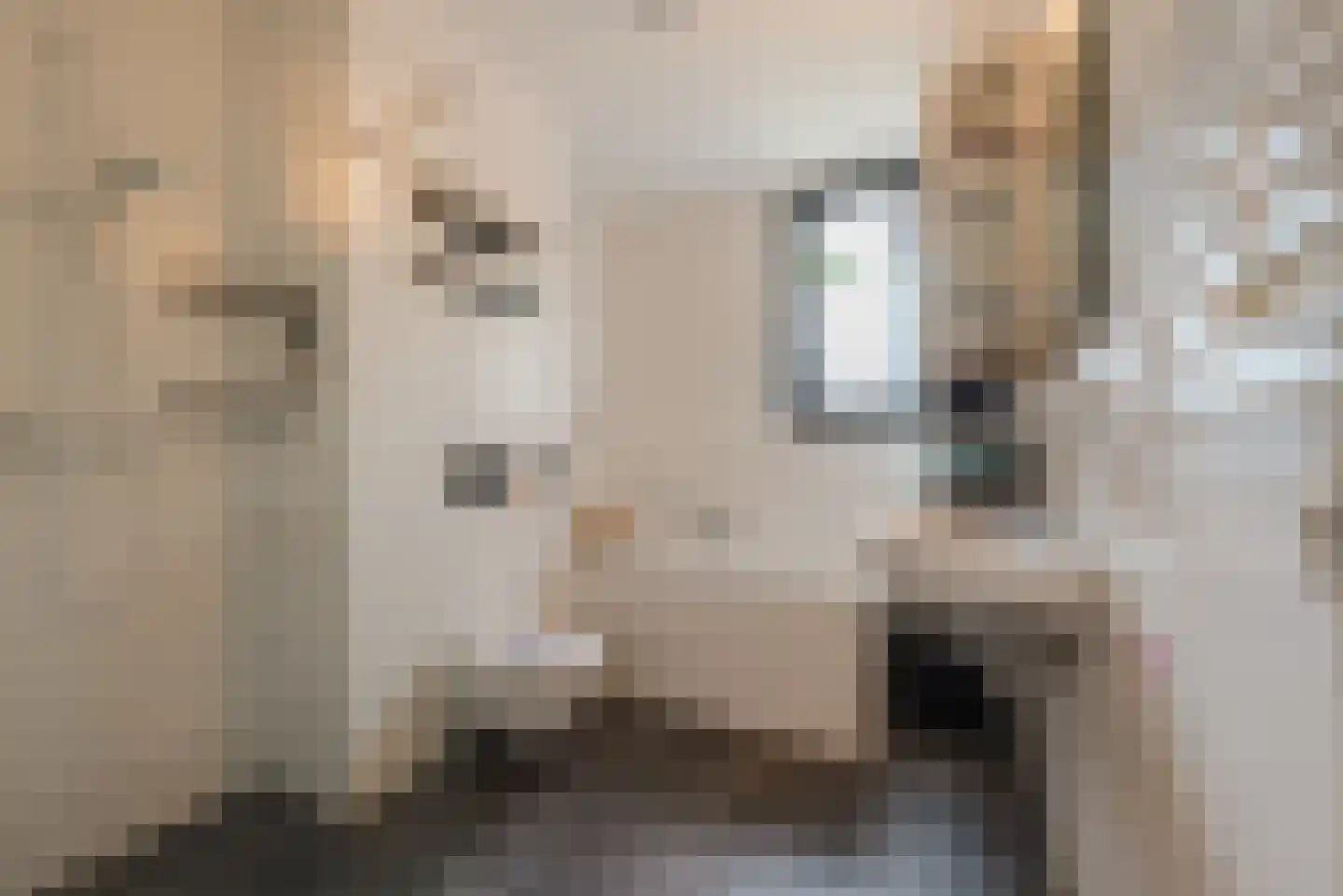 Tournooiruwe 31 Maastricht thumbnail 12