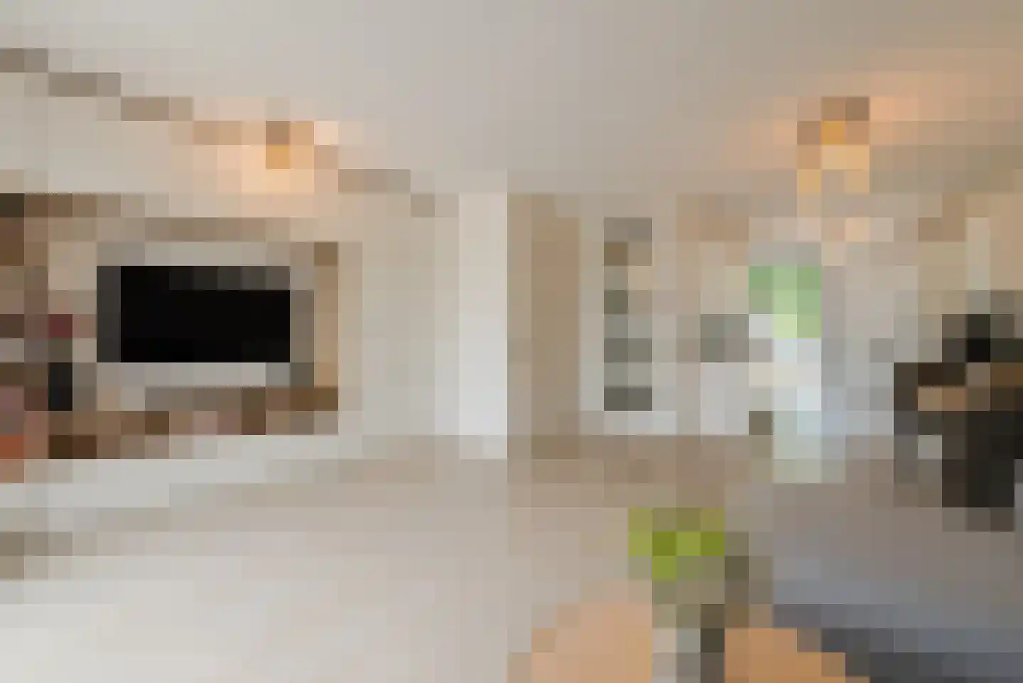 Tournooiruwe 31 Maastricht thumbnail 4