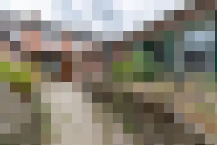 Tournooiruwe 7 Maastricht thumbnail 16