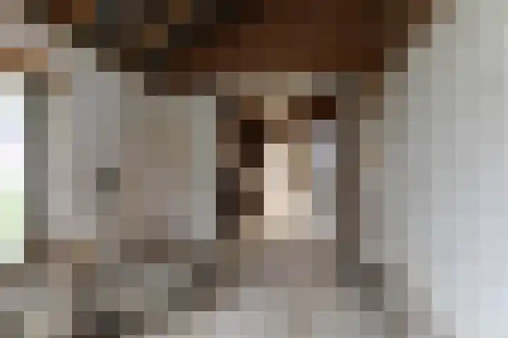 Tournooiruwe 7 Maastricht thumbnail 20