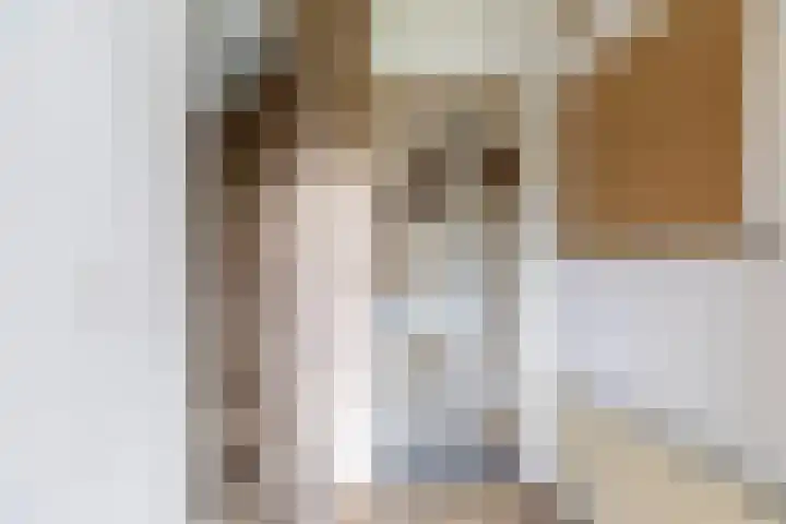 Tournooiruwe 7 Maastricht thumbnail 4