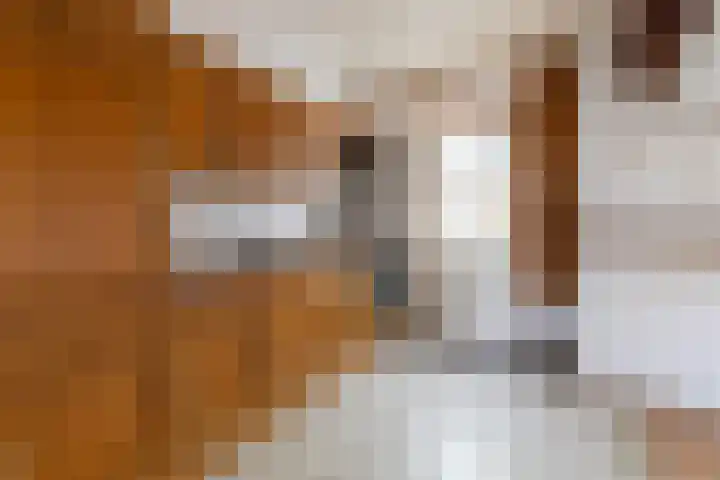 Tournooiruwe 7 Maastricht thumbnail 5