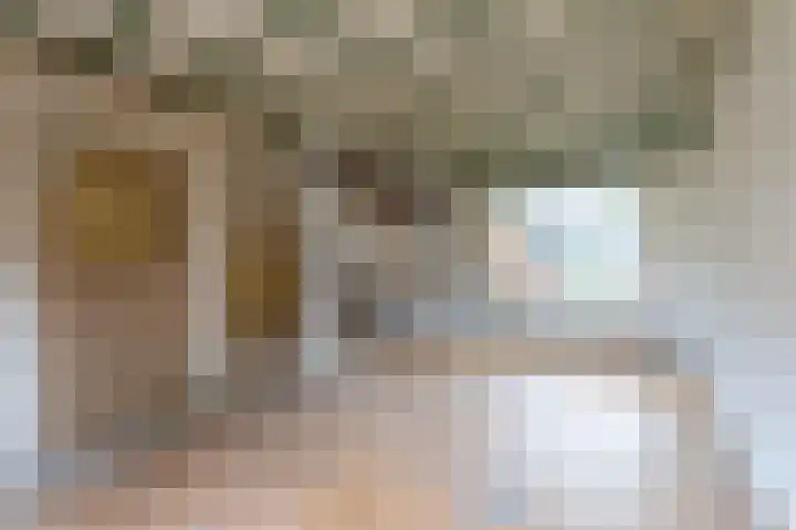 Tournooiruwe 7 Maastricht thumbnail 8