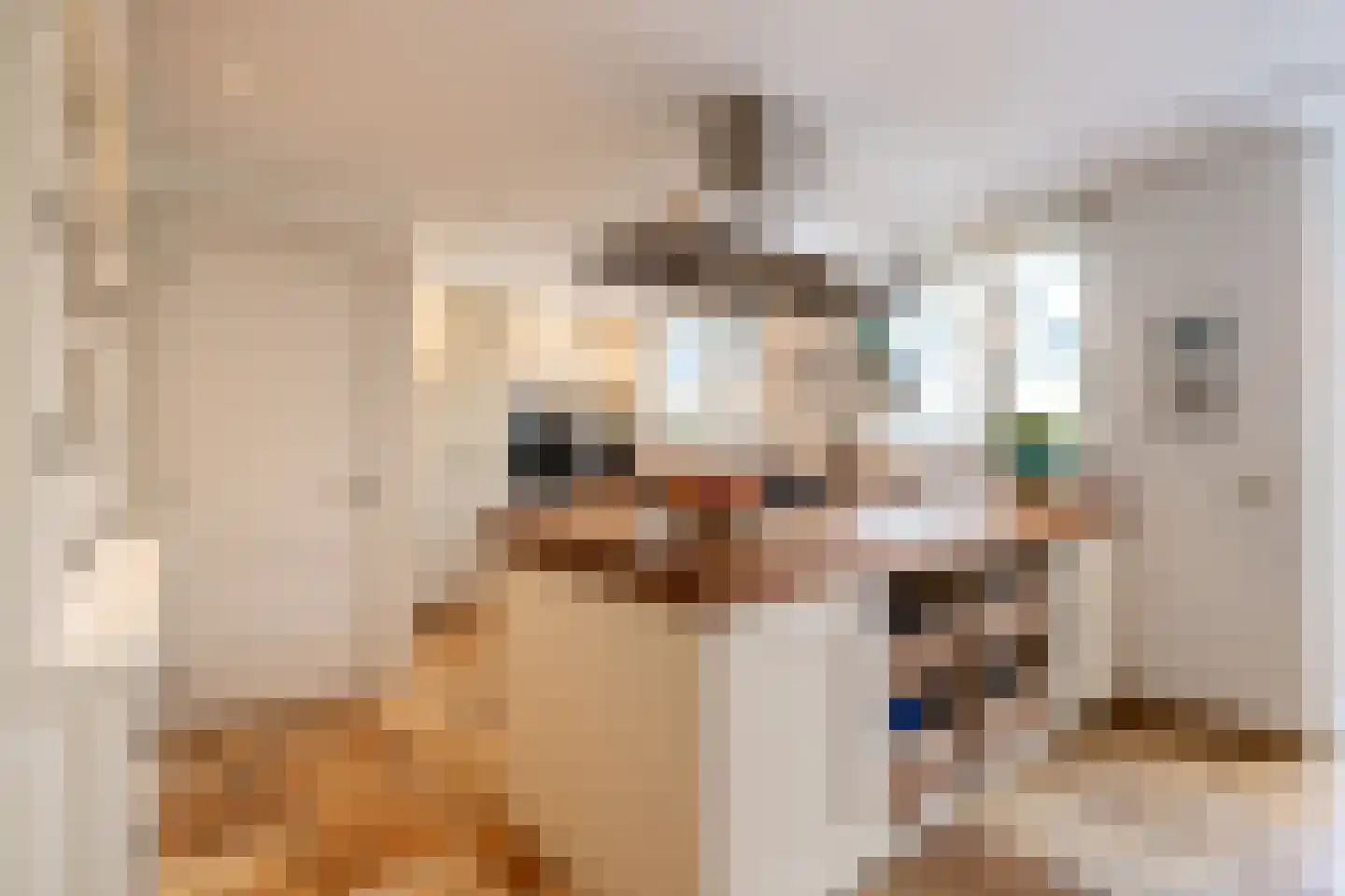 Tournooiveld 17 Oss thumbnail 12