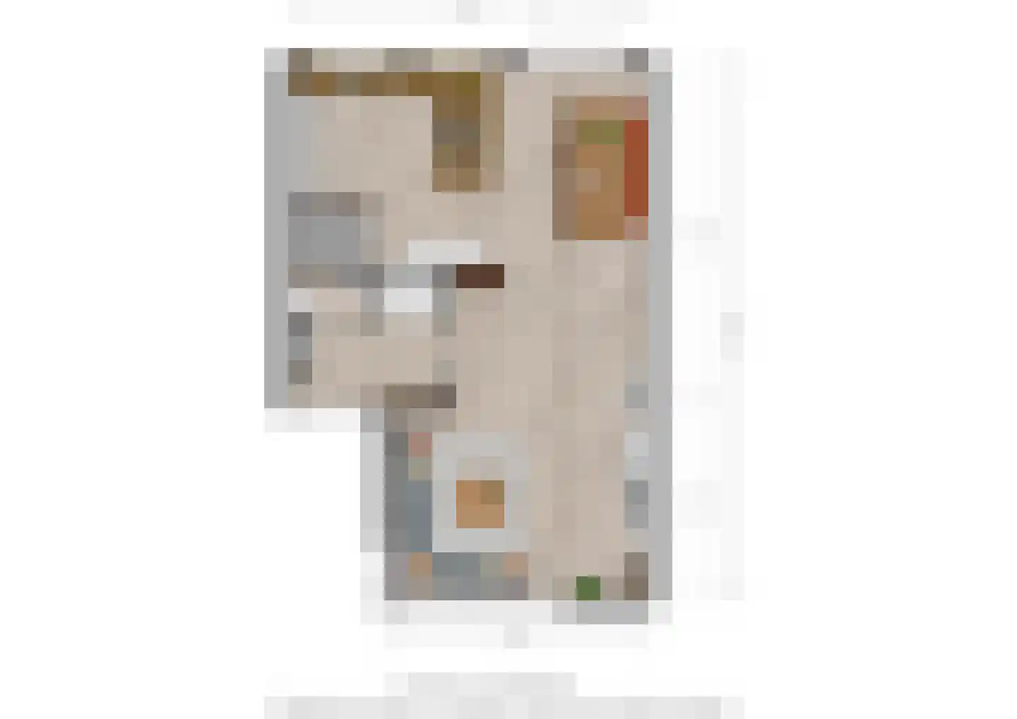Tournooiveld 17 Oss thumbnail 27