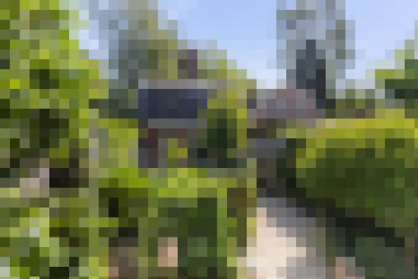 Tournoysstraat 26 Woerden thumbnail 26
