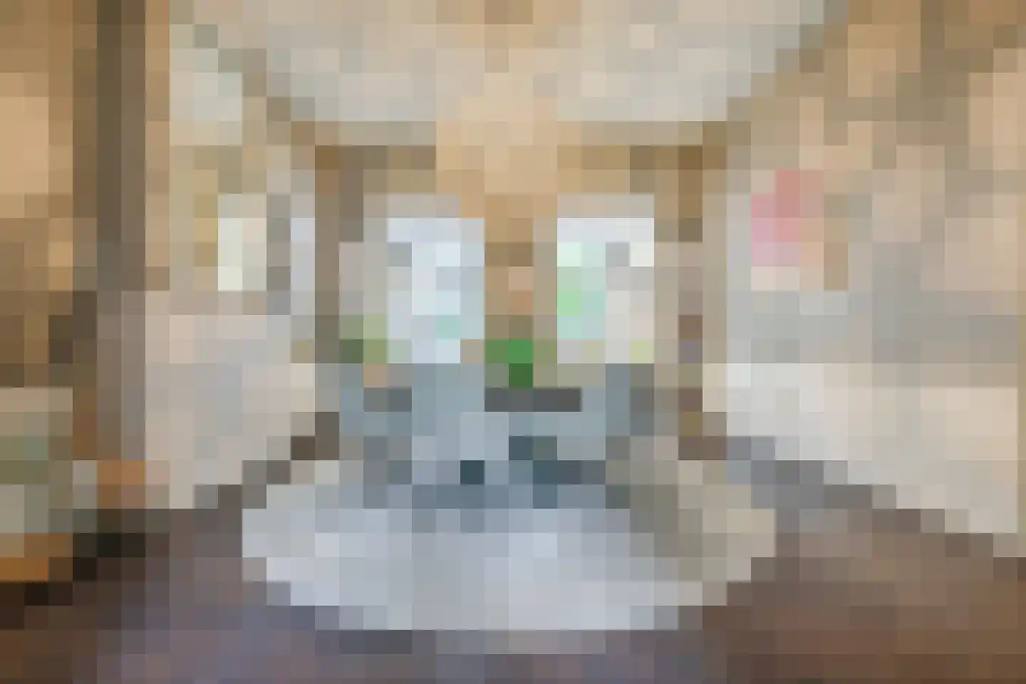 Toussaintkade 23 Den Haag thumbnail 14