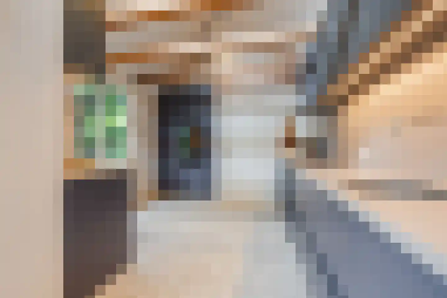 Toussaintkade 23 Den Haag thumbnail 19