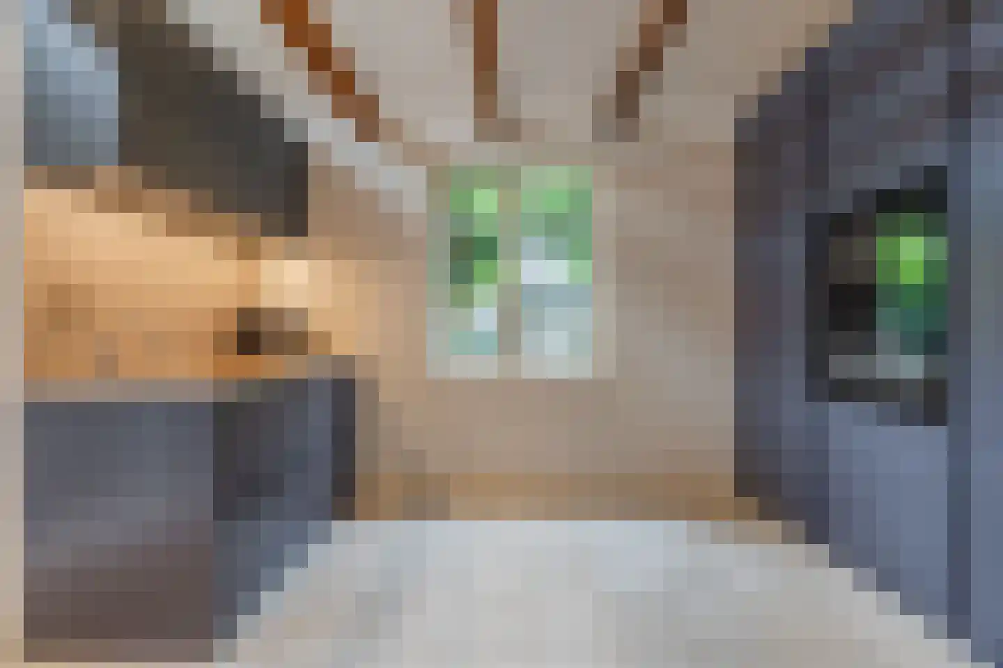 Toussaintkade 23 Den Haag thumbnail 20