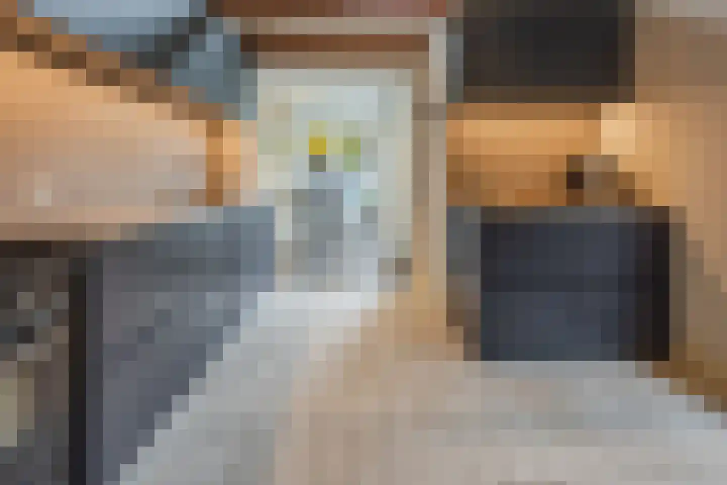 Toussaintkade 23 Den Haag thumbnail 22