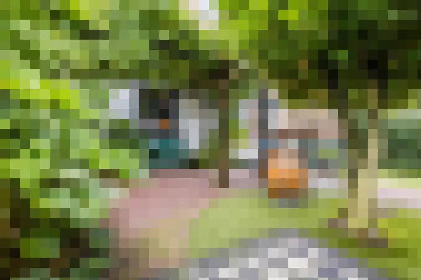 Toussaintkade 23 Den Haag thumbnail 27
