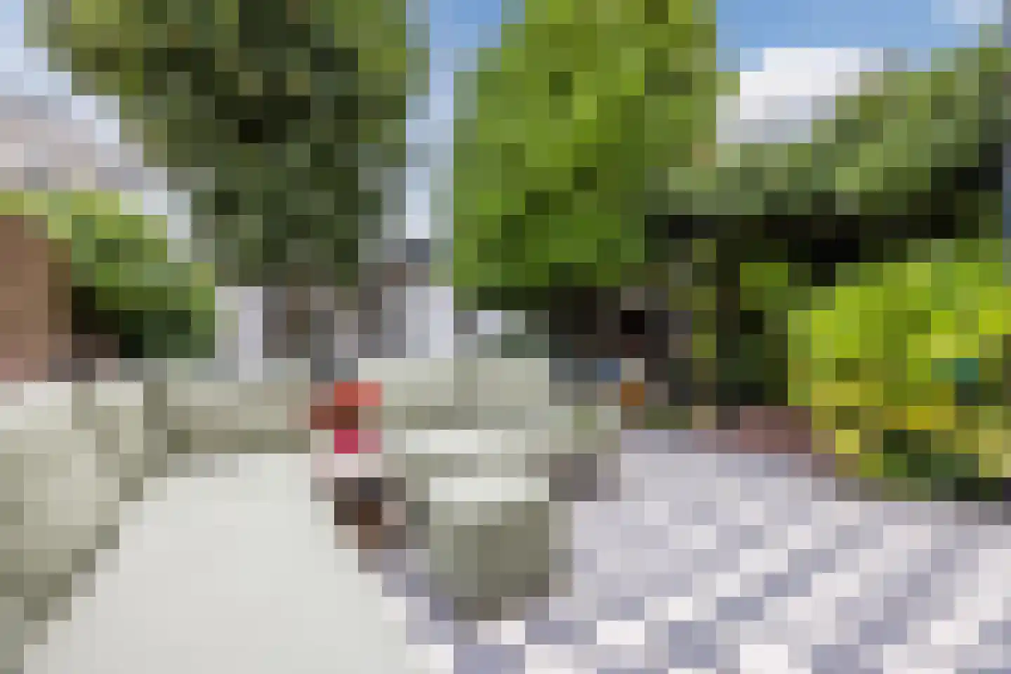 Toussaintkade 23 Den Haag thumbnail 4