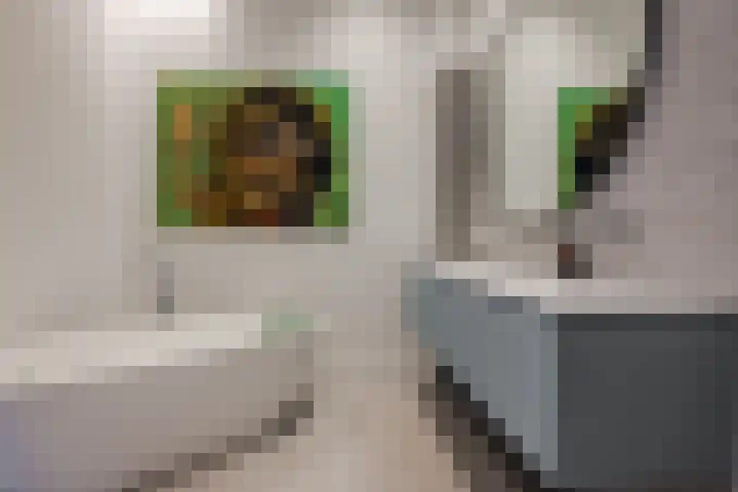 Toussaintkade 23 Den Haag thumbnail 41
