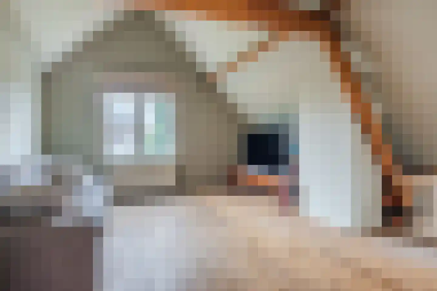 Toussaintkade 23 Den Haag thumbnail 51