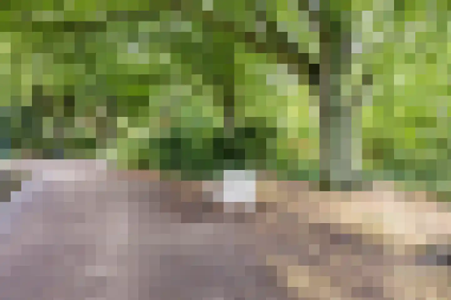 Toussaintkade 23 Den Haag thumbnail 64