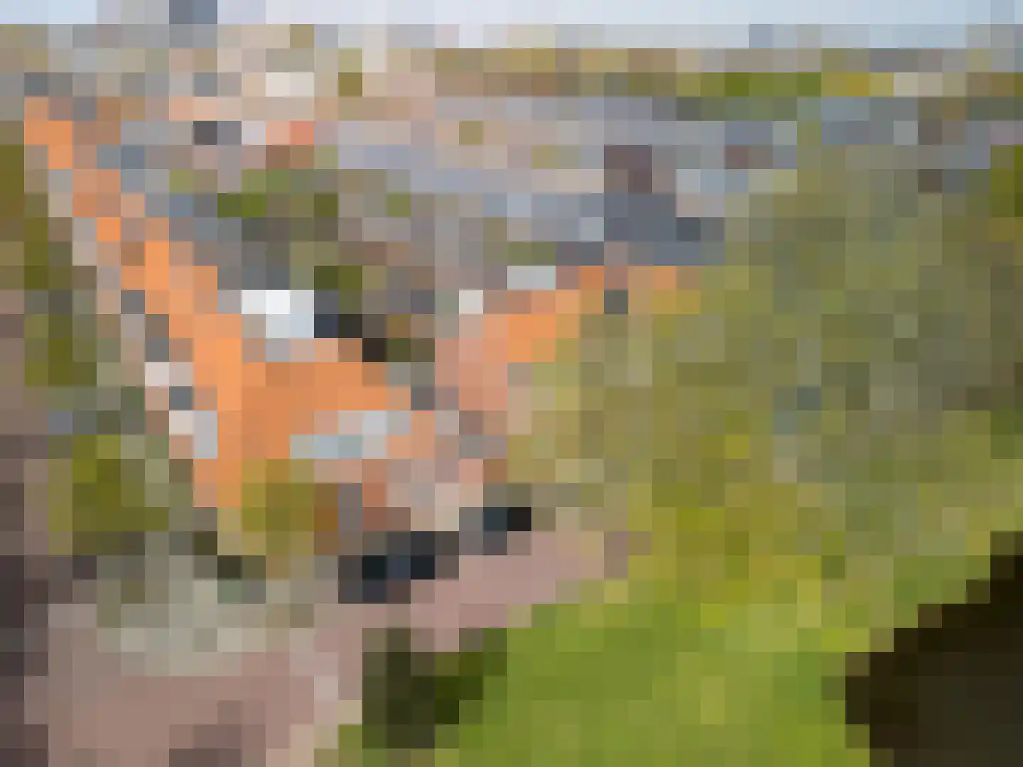 Toussaintkade 27 A Leiden thumbnail 6