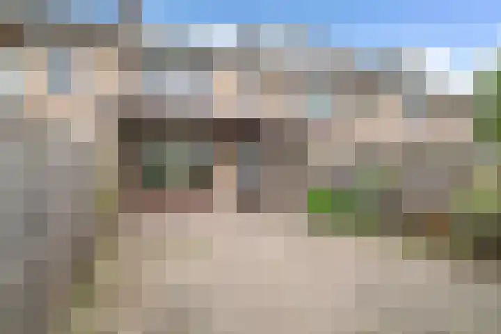Toussaintlaan 40 Roosendaal thumbnail 32