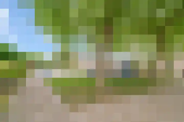 Toussaintlaan 40 Roosendaal thumbnail 39