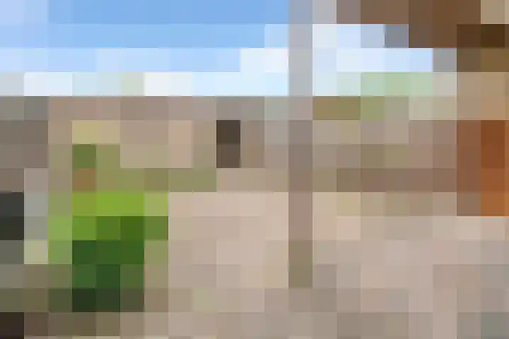 Toussaintlaan 40 Roosendaal thumbnail 5