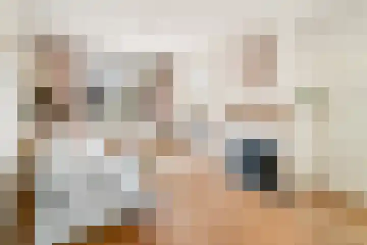 Toussaintlaan 40 Roosendaal thumbnail 7