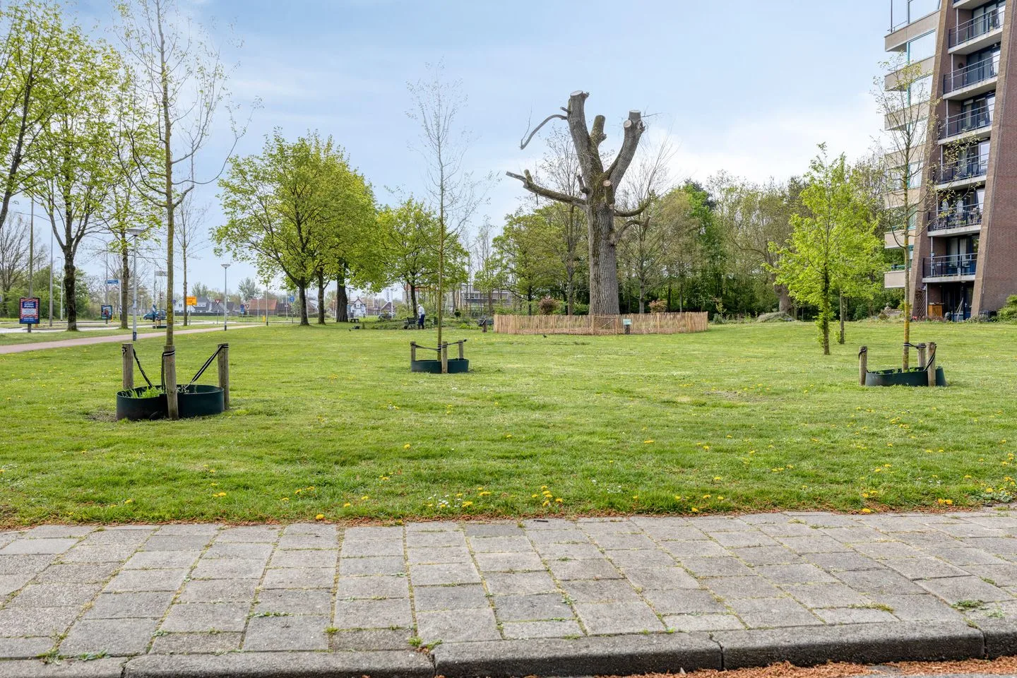 Toussaintlaan 52 Roosendaal thumbnail 44