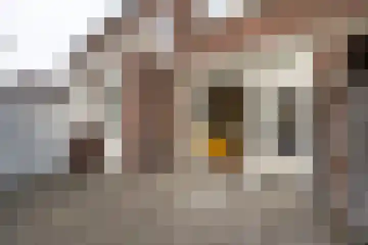 Toussaintplein 4 Alphen aan den Rijn thumbnail 22