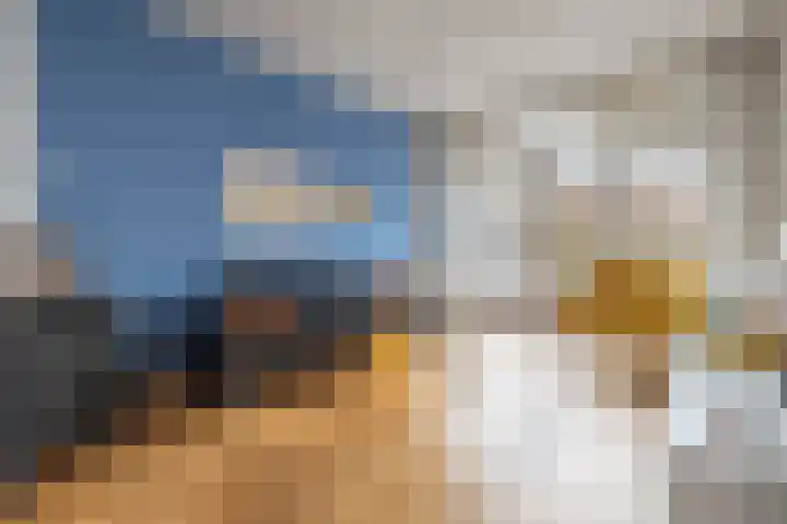 Toussaintplein 4 Alphen aan den Rijn thumbnail 5