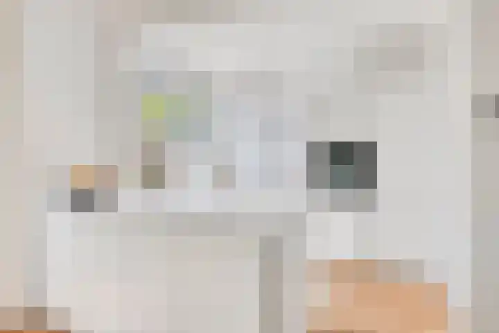 Toussaintplein 8 Alphen aan den Rijn thumbnail 13