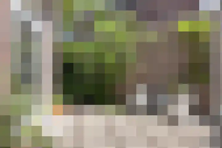 Toussaintplein 8 Alphen aan den Rijn thumbnail 31